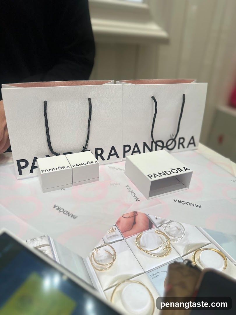Pandora Store Interior Display