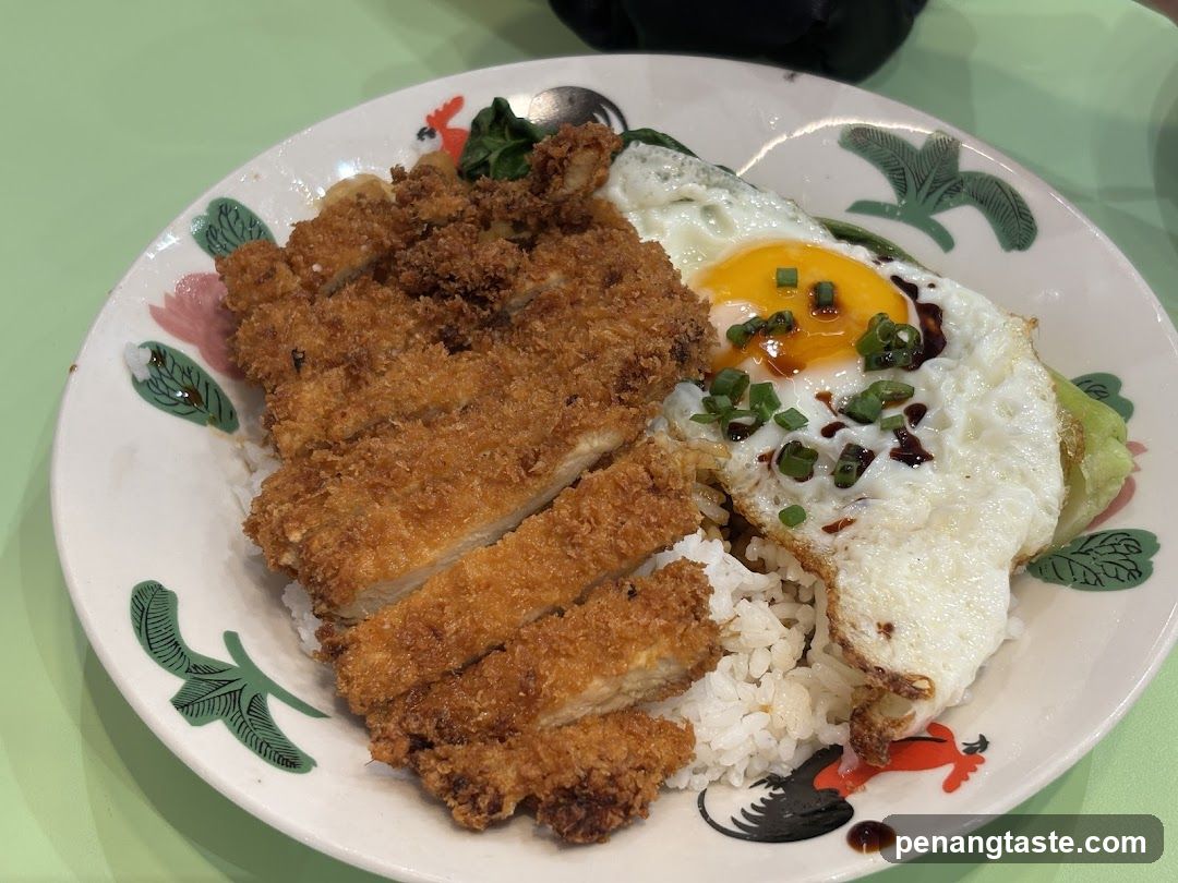 Katsu Fried Rice Bowl