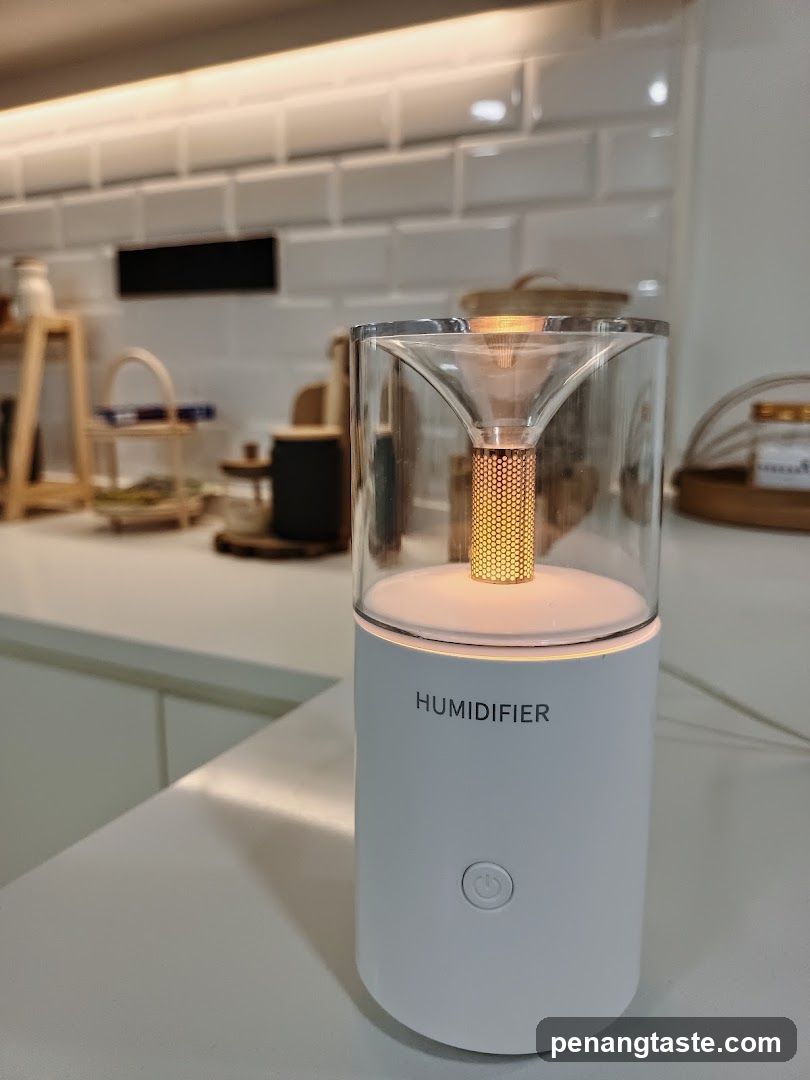 Humidifier on countertop
