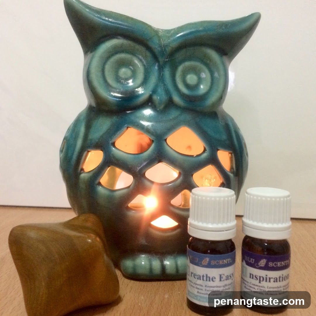 Owl Diffuser with Essential Oil Bottles