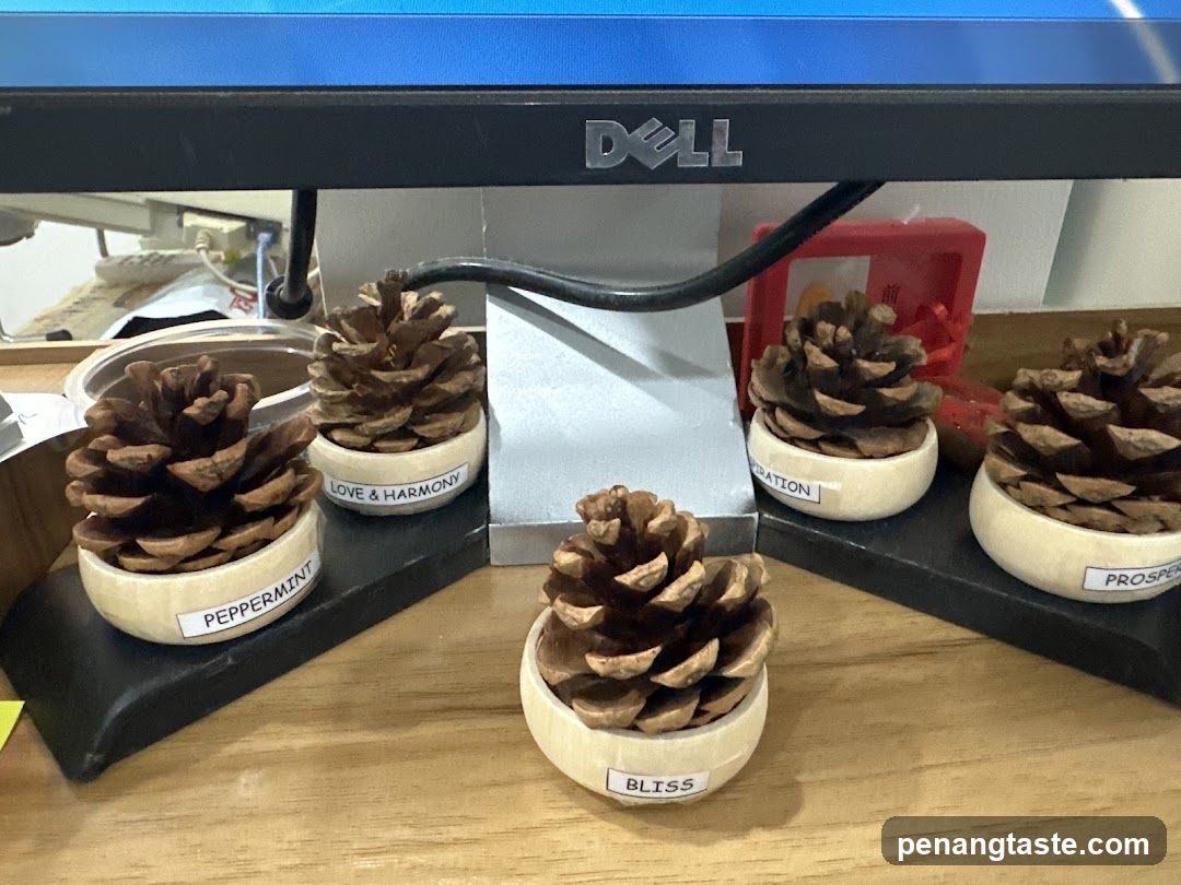 Pinecone Decor on Desk