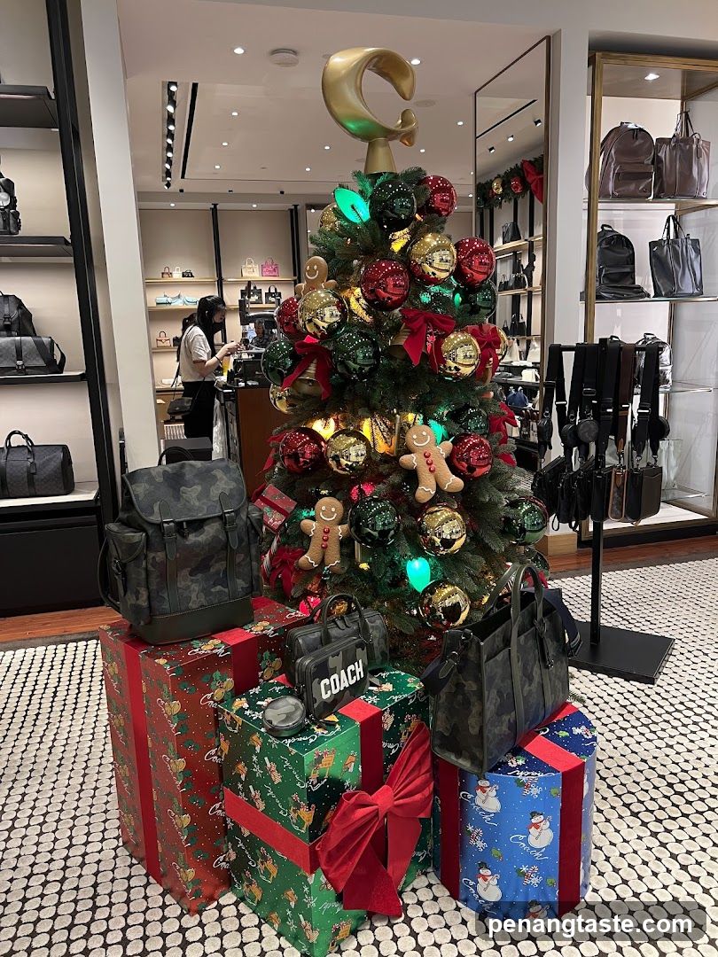 Coach Store Interior Christmas Display