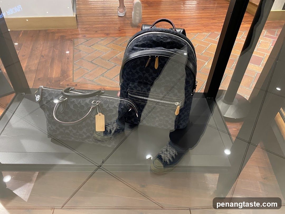 Coach Display Case