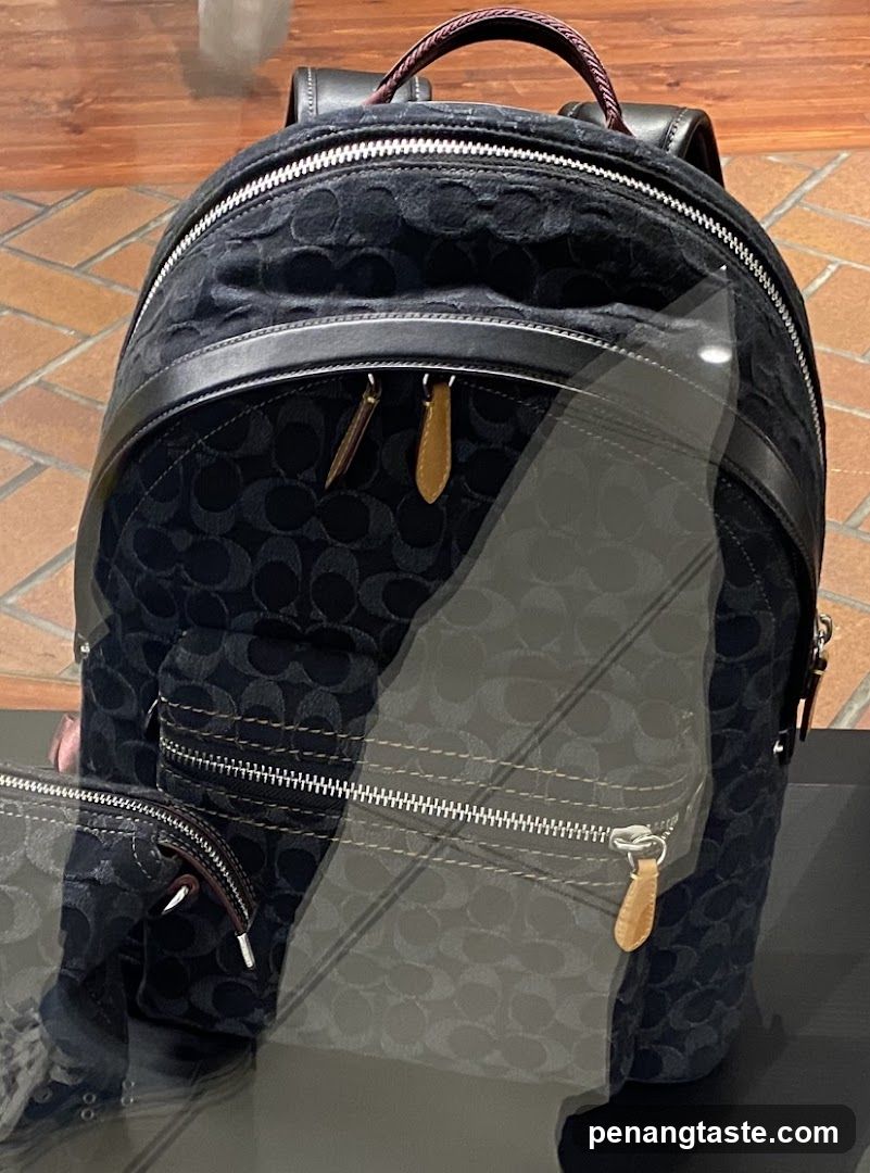 Coach Backpack Display