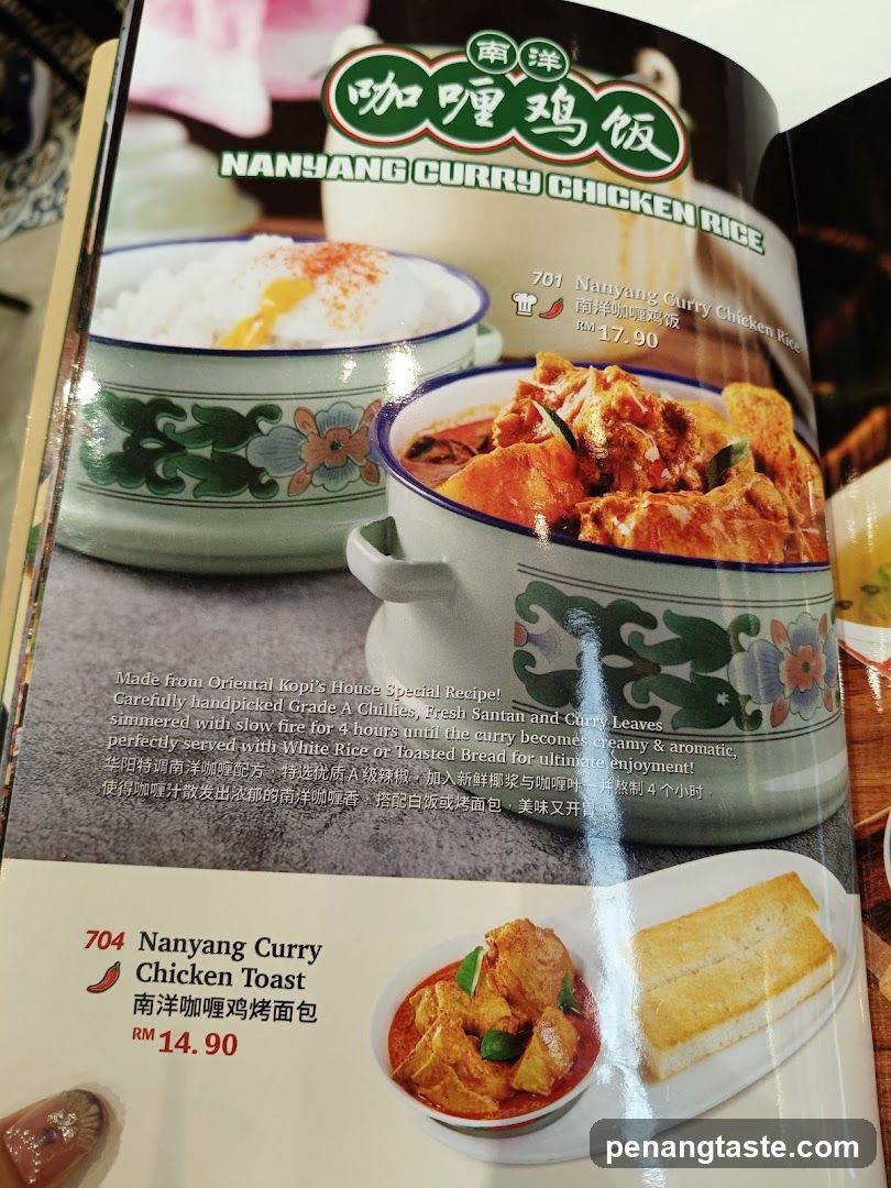 Nanyang Curry Chicken Rice Menu Page