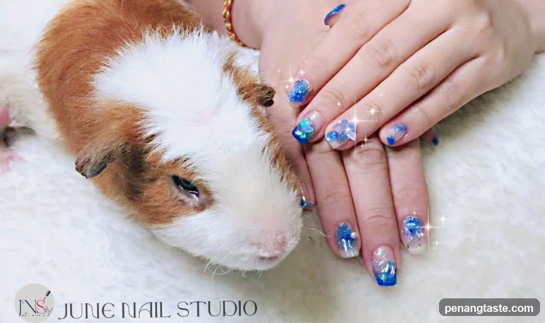 Nail Art with Pet