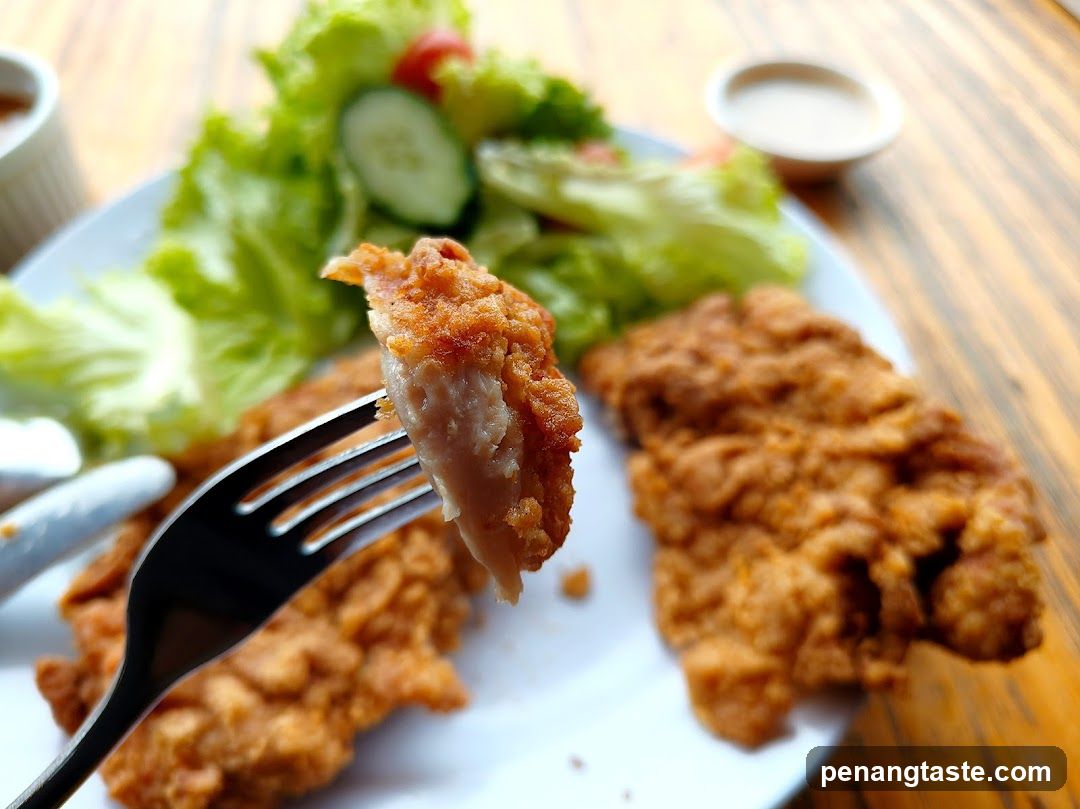 Fried Chicken Plate with Salad