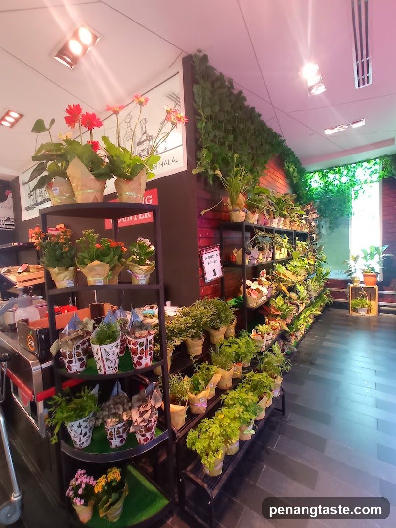 Interior Plant Shop