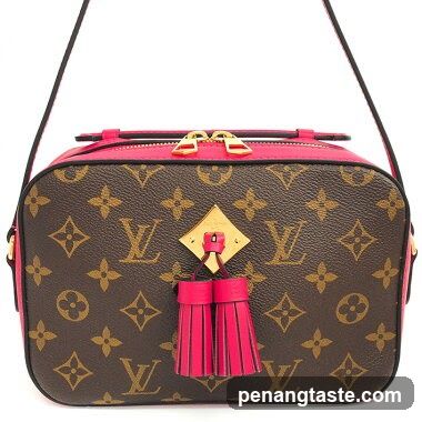 Louis Vuitton Bag