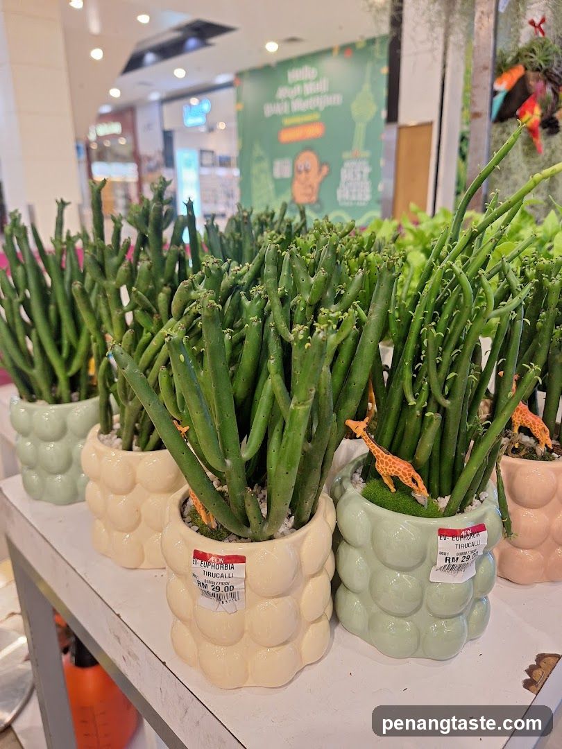Interior plant display at Aeon