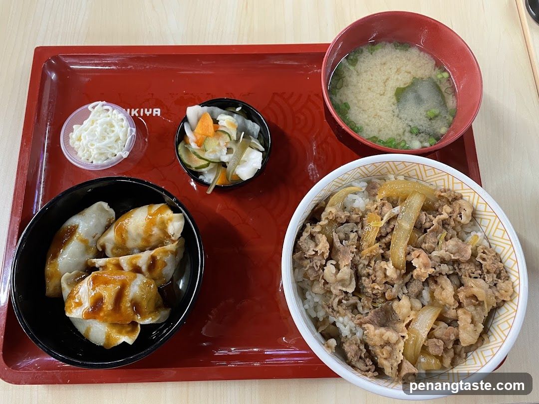 Food Tray with Japanese Meal Items