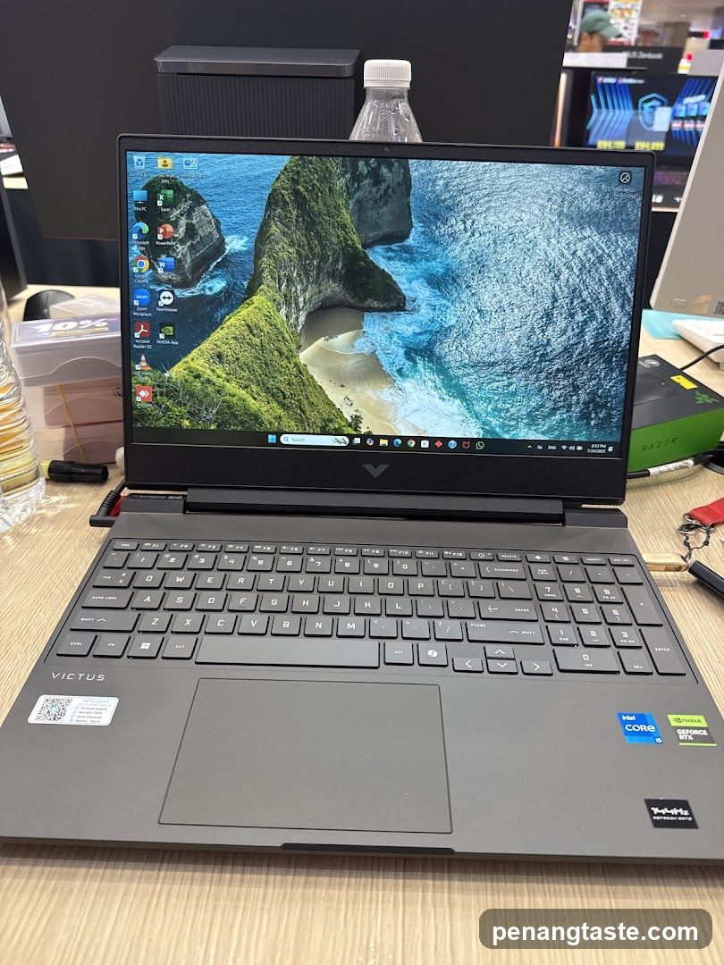 Laptop Display
