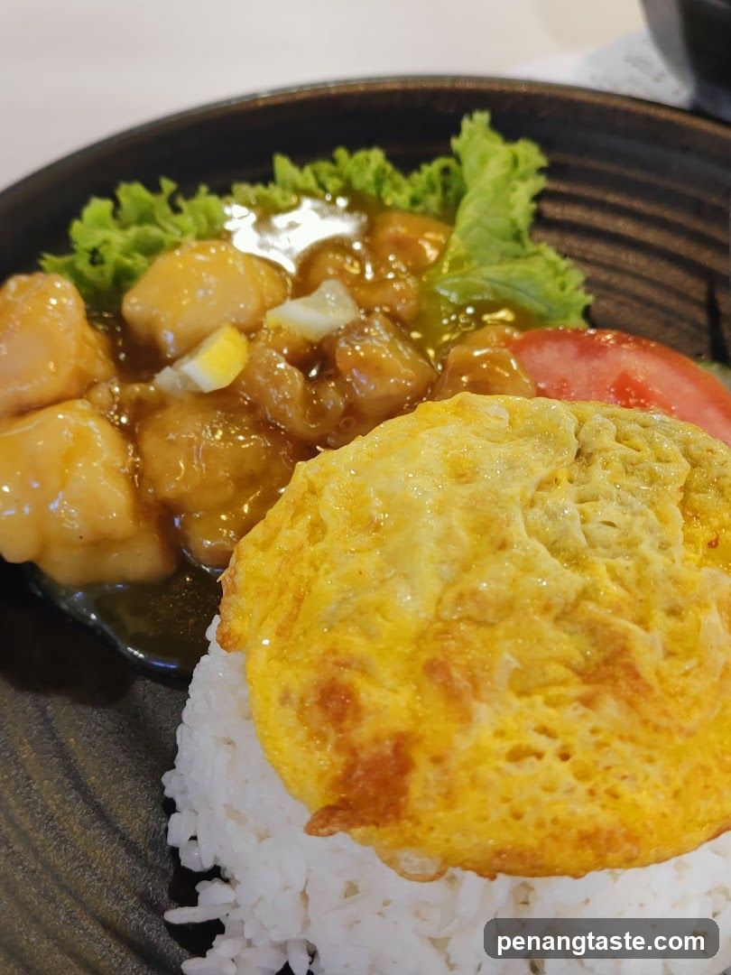 Food Dish