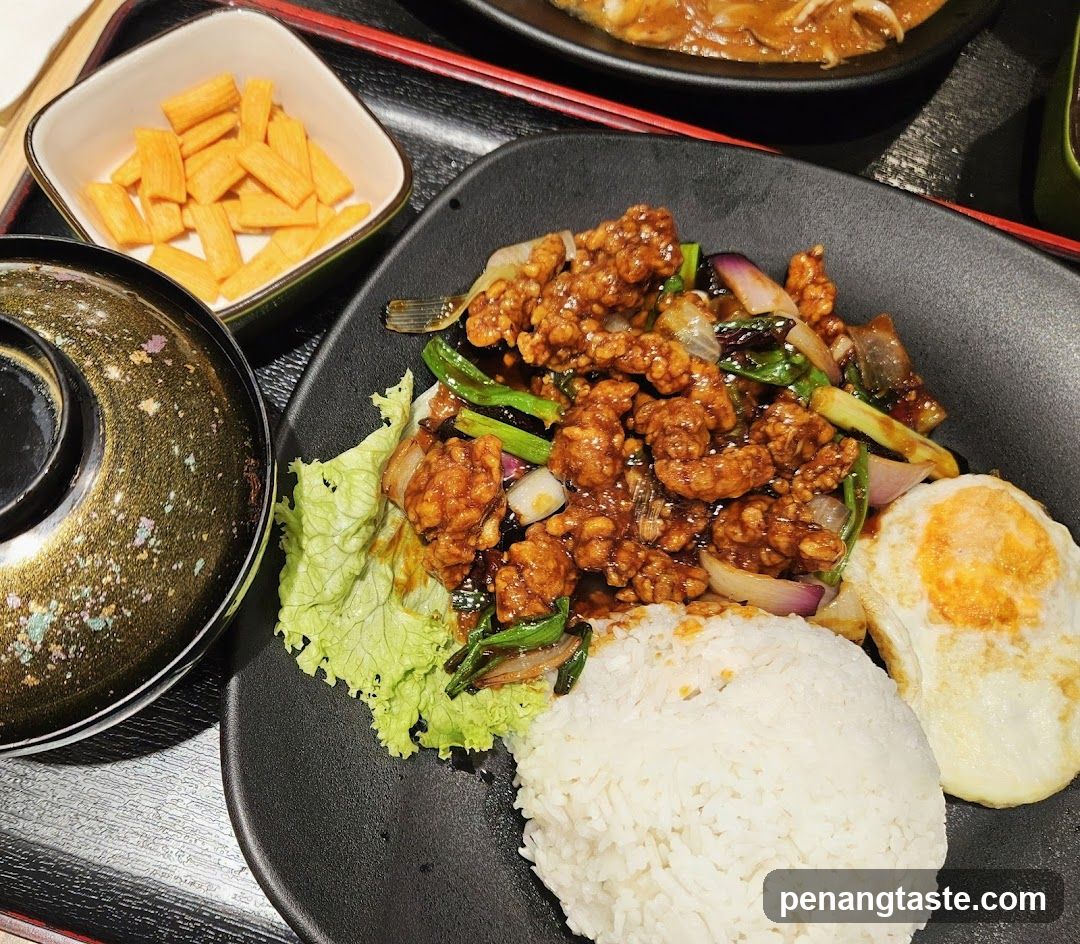 Dinner Plate with Stir-Fried Meat and Rice