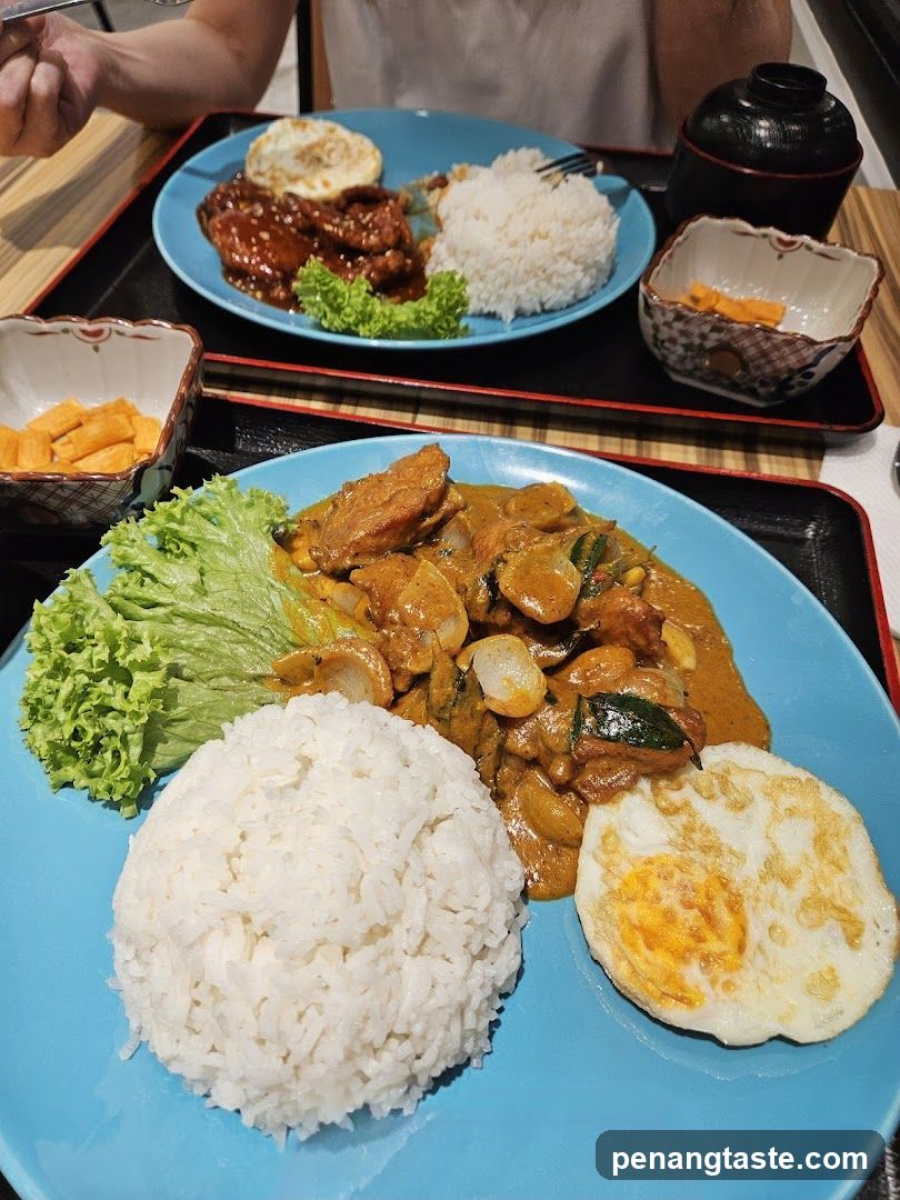 Dinner Plate with Curry, Rice, and Fried Egg