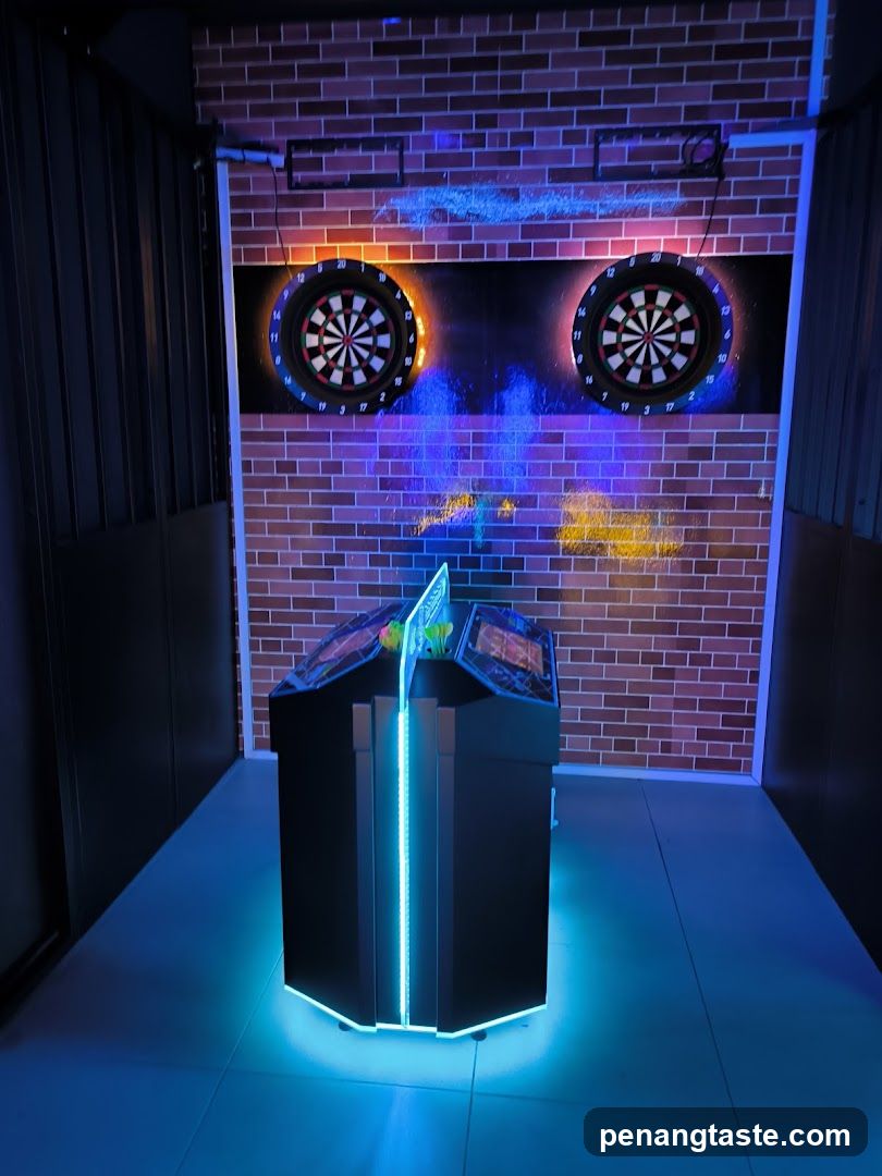Dart Game Area