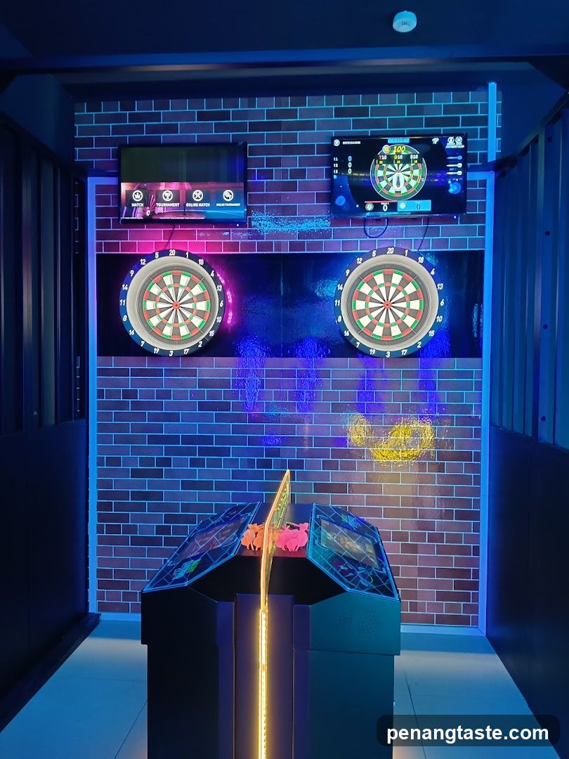 Dart Game Area
