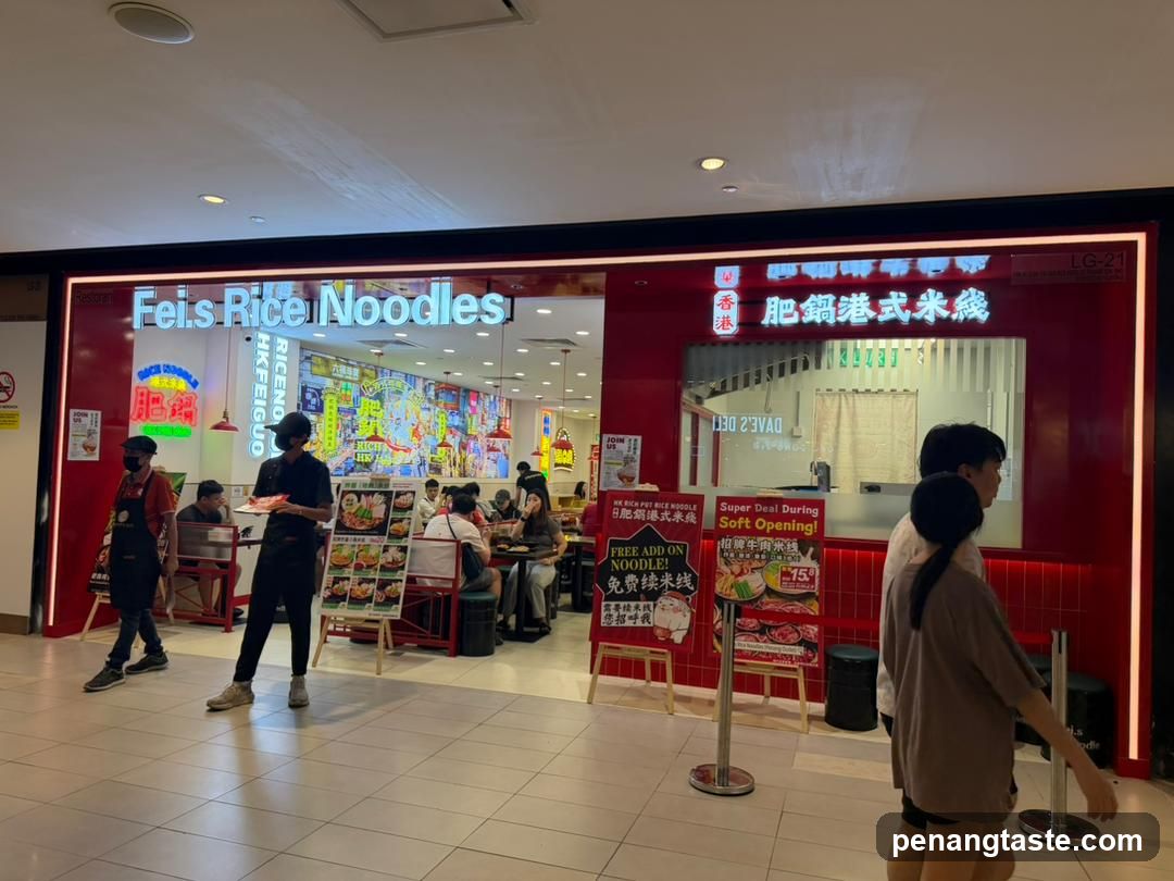 Fei's Rice Noodles