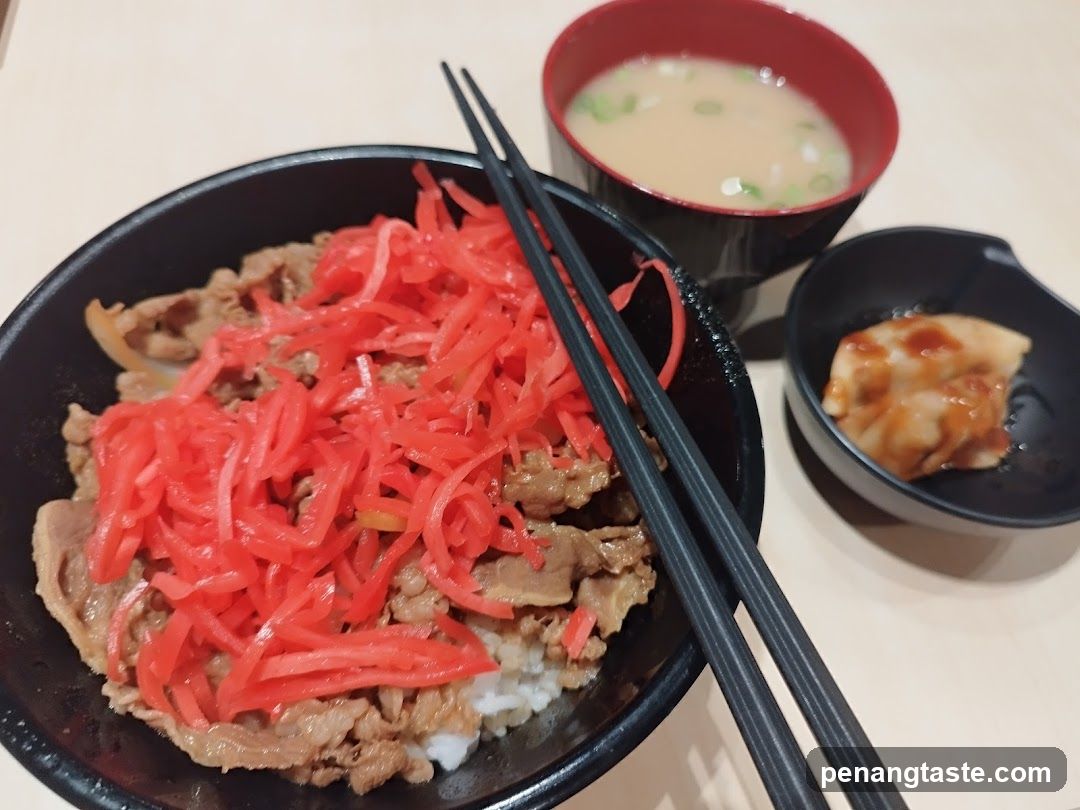 Food Meal Set