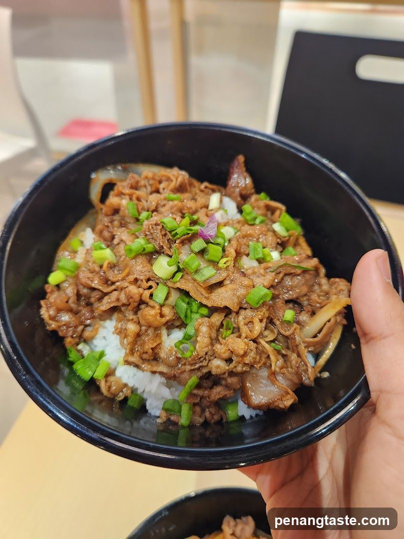 Bowl of beef rice dish