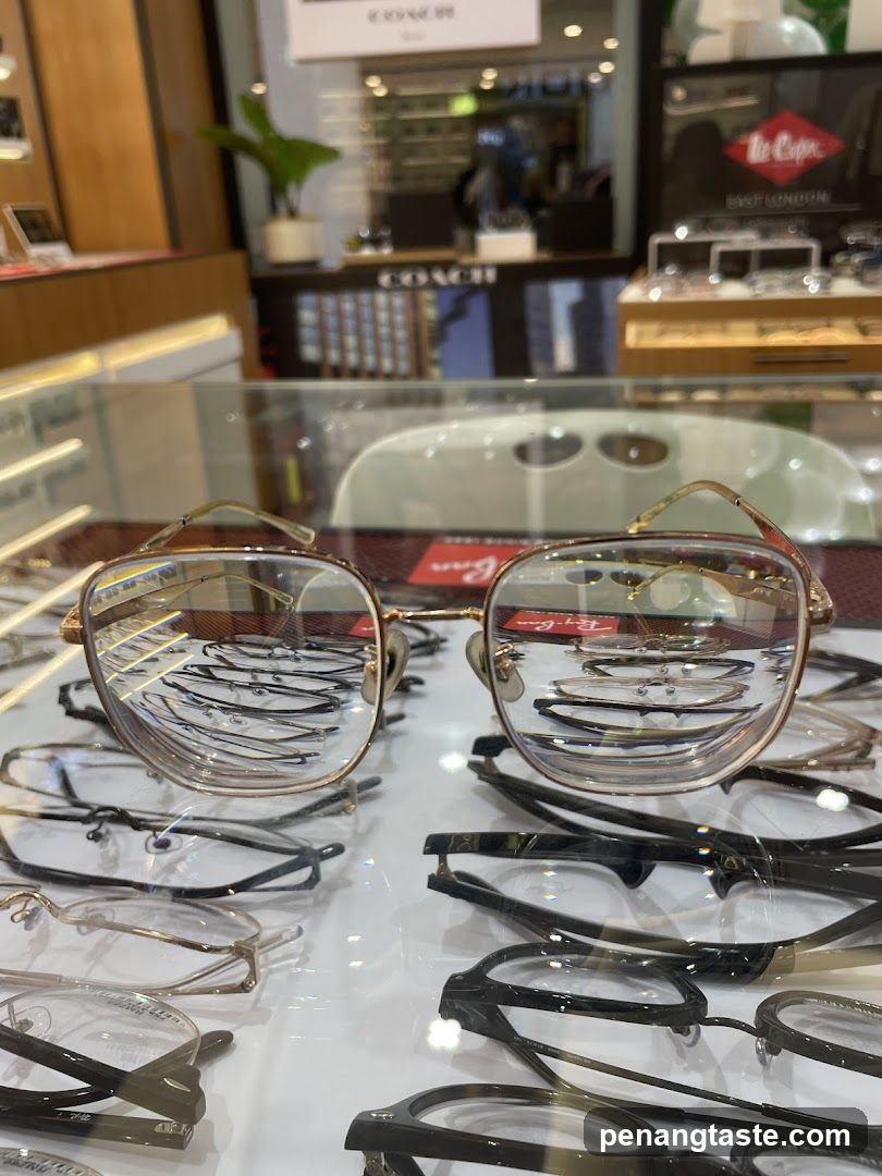 Eyeglasses Display Case