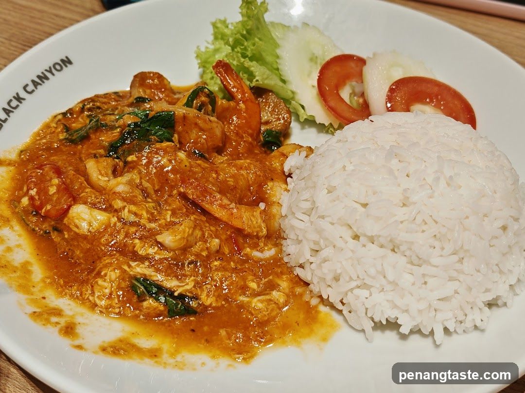 Curry Dish with Rice and Salad