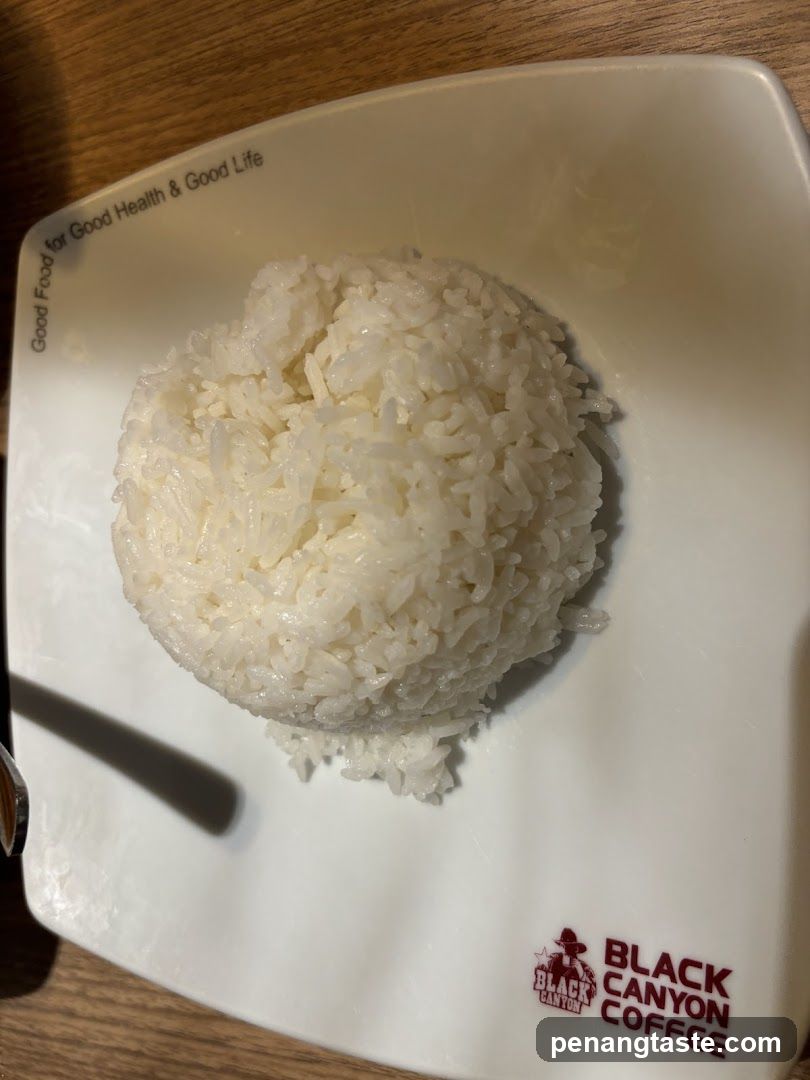 Rice Ball on Plate