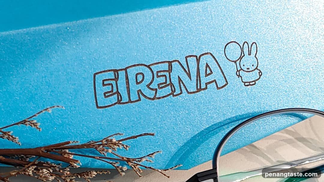 Eirena with Bunny Illustration