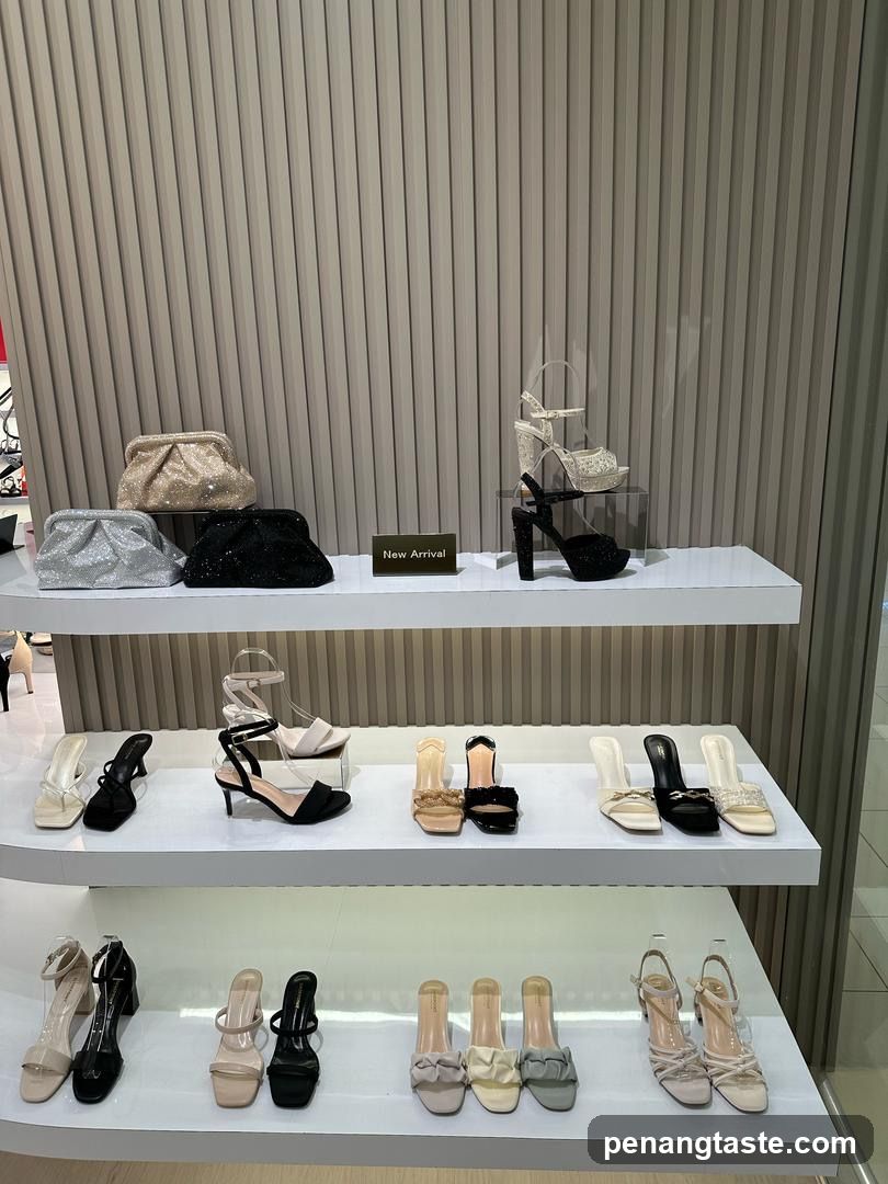 Shoepoint