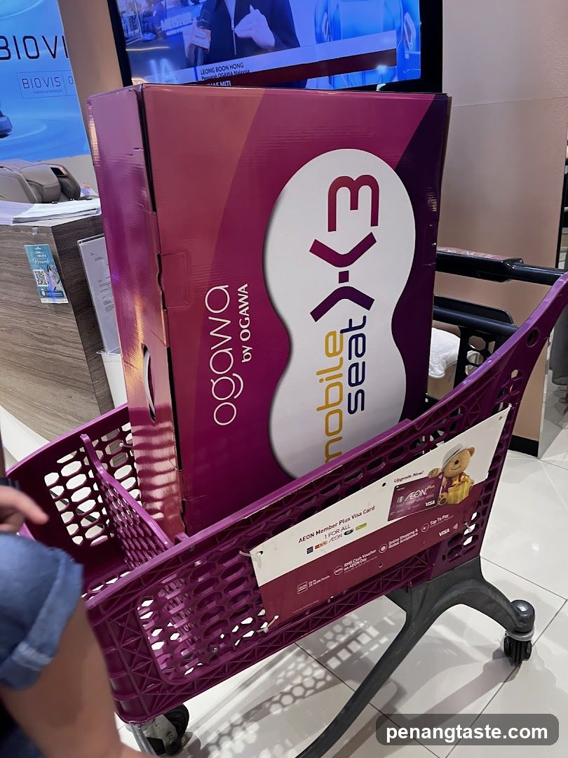 Shopping cart with Ogawa X3 box