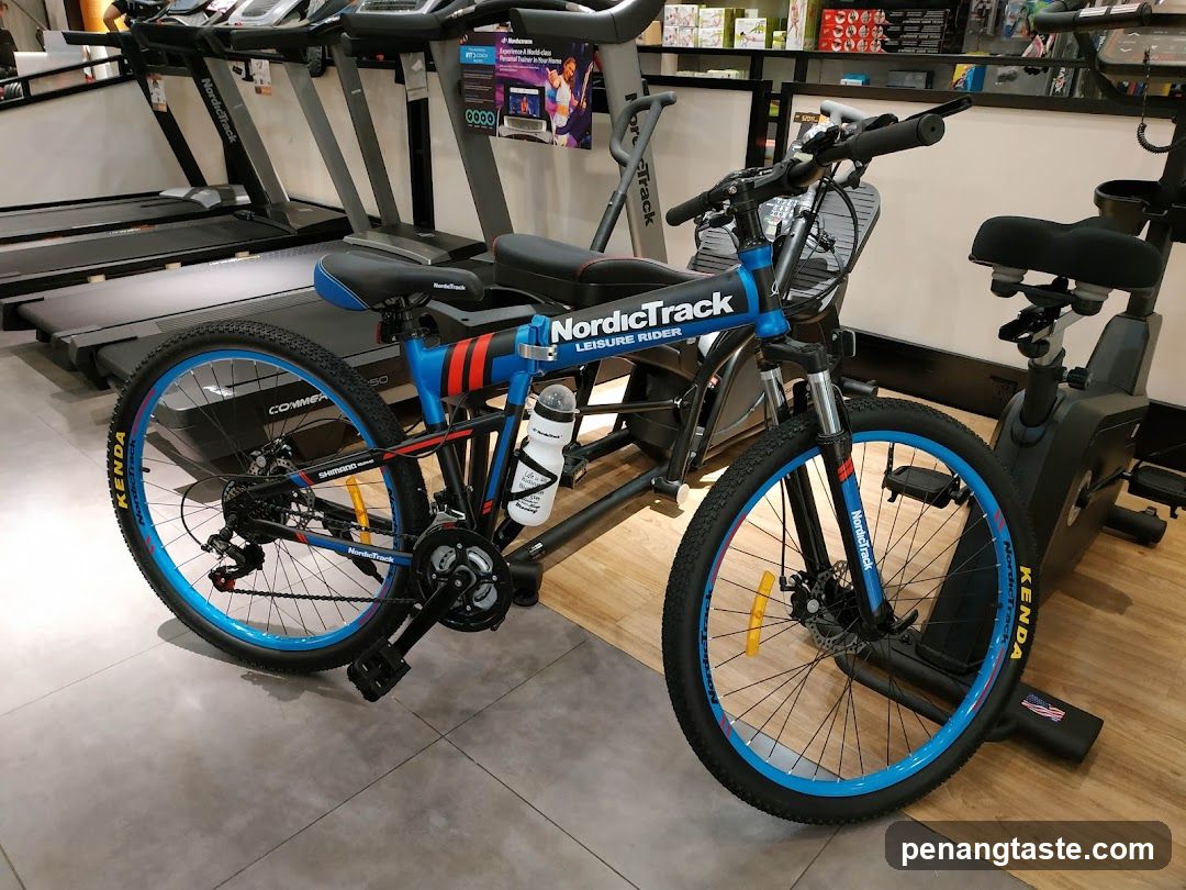 NordicTrack Leisure Rider Bike in Store