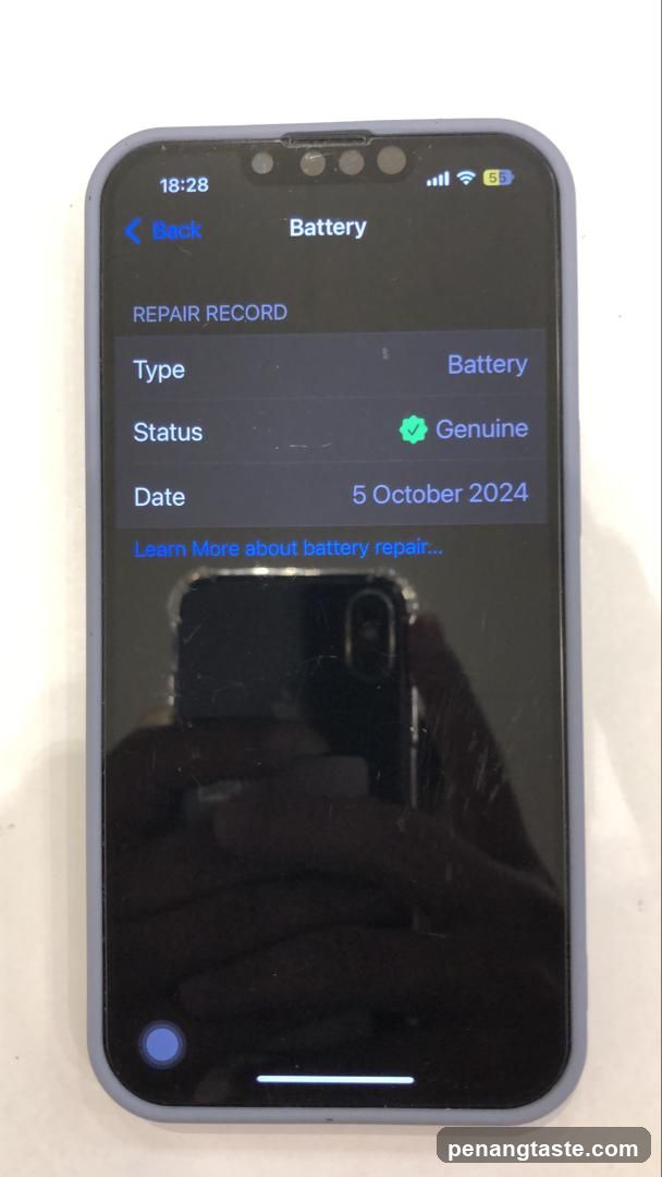 iPhone Battery Repair Record Screen