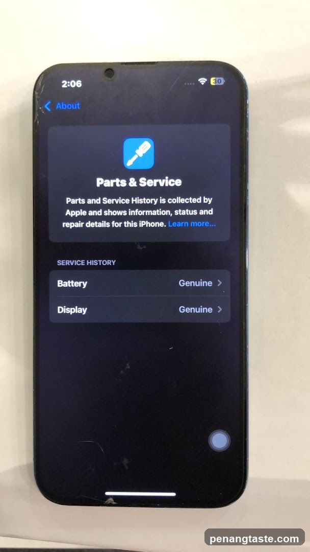 iPhone Parts & Service Screen