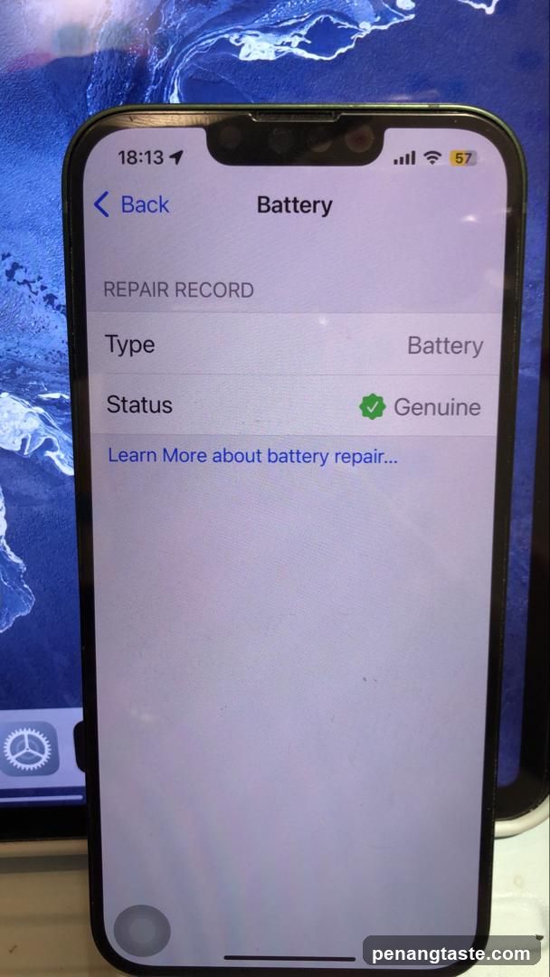 iPhone Battery Repair Screen