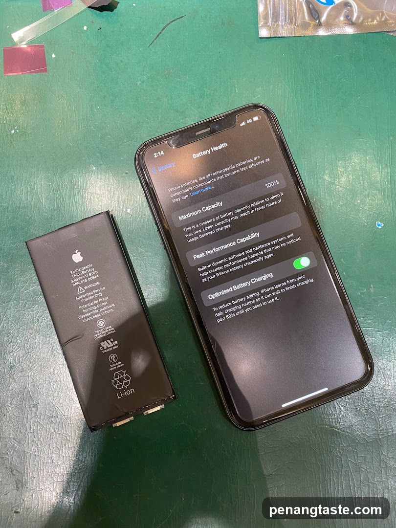 iPhone Battery Replacement Setup