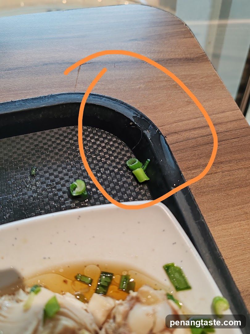 Food with green onions on tray