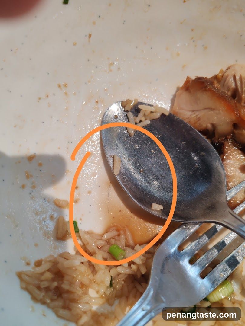 Rice Bowl with Meat and Spoon