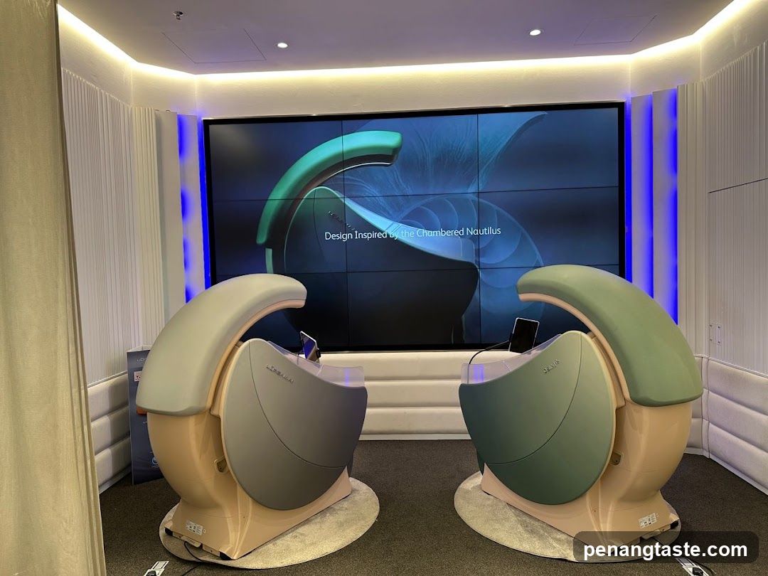 Chambered Nautilus Design Experience