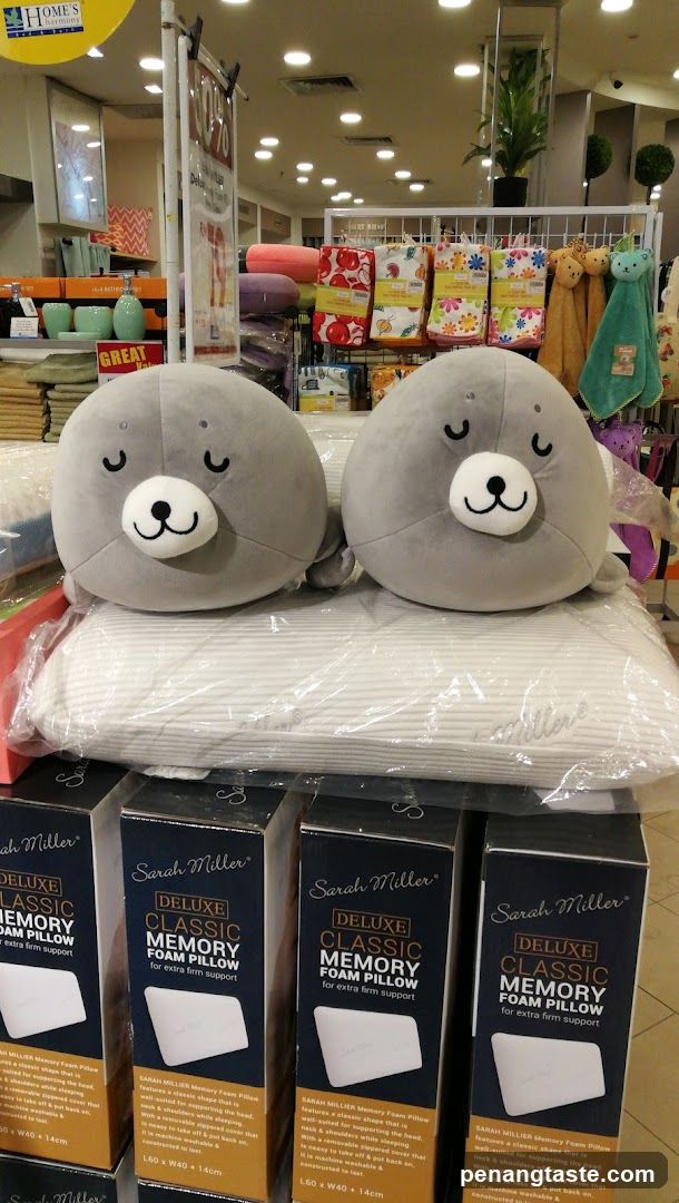 Sarah Miller Memory Foam Pillows Display
