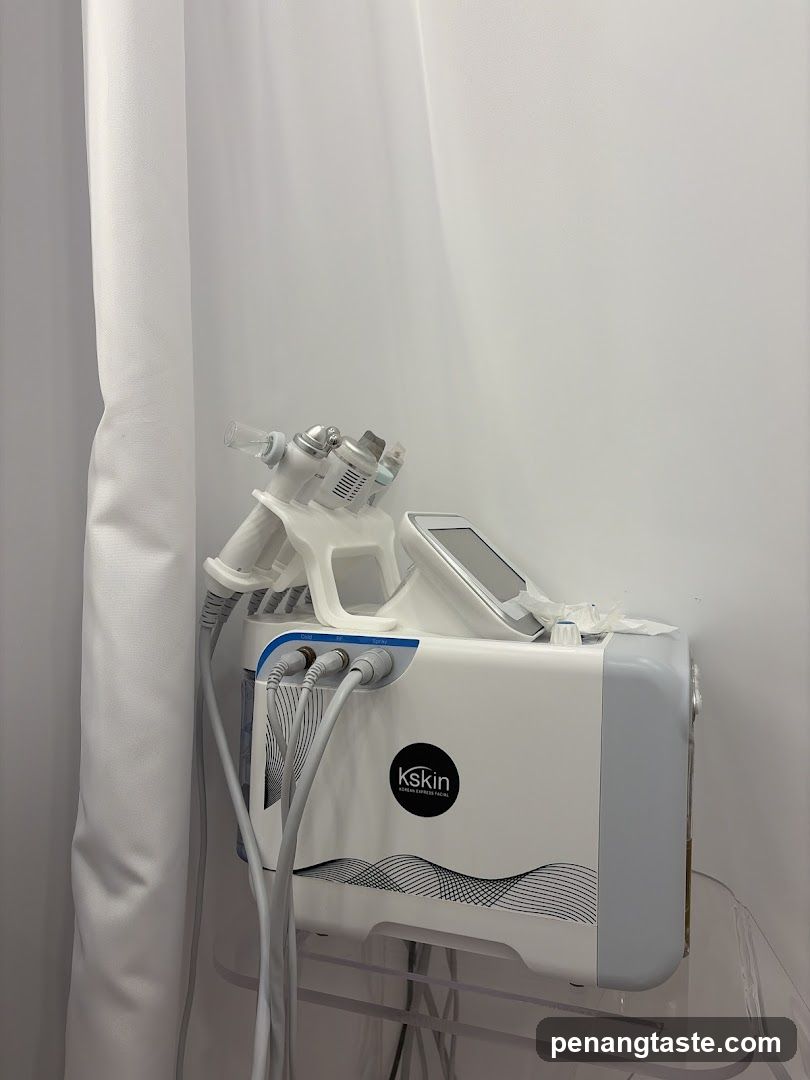 Kskin Beauty Device