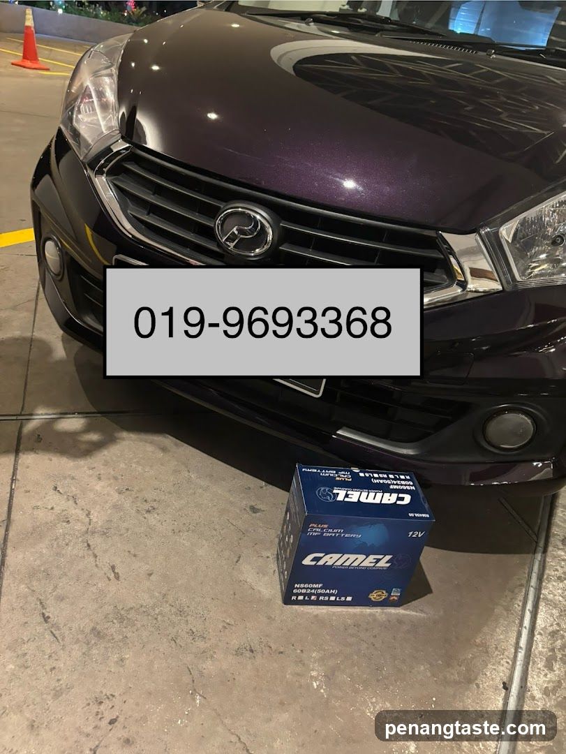 Car Battery Display