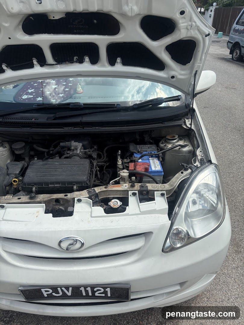 Car with hood open showing engine bay