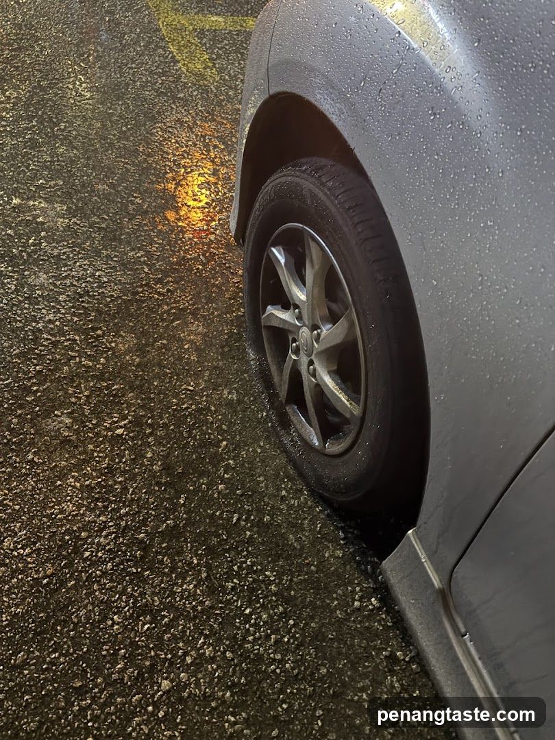 Rainy car tire detail