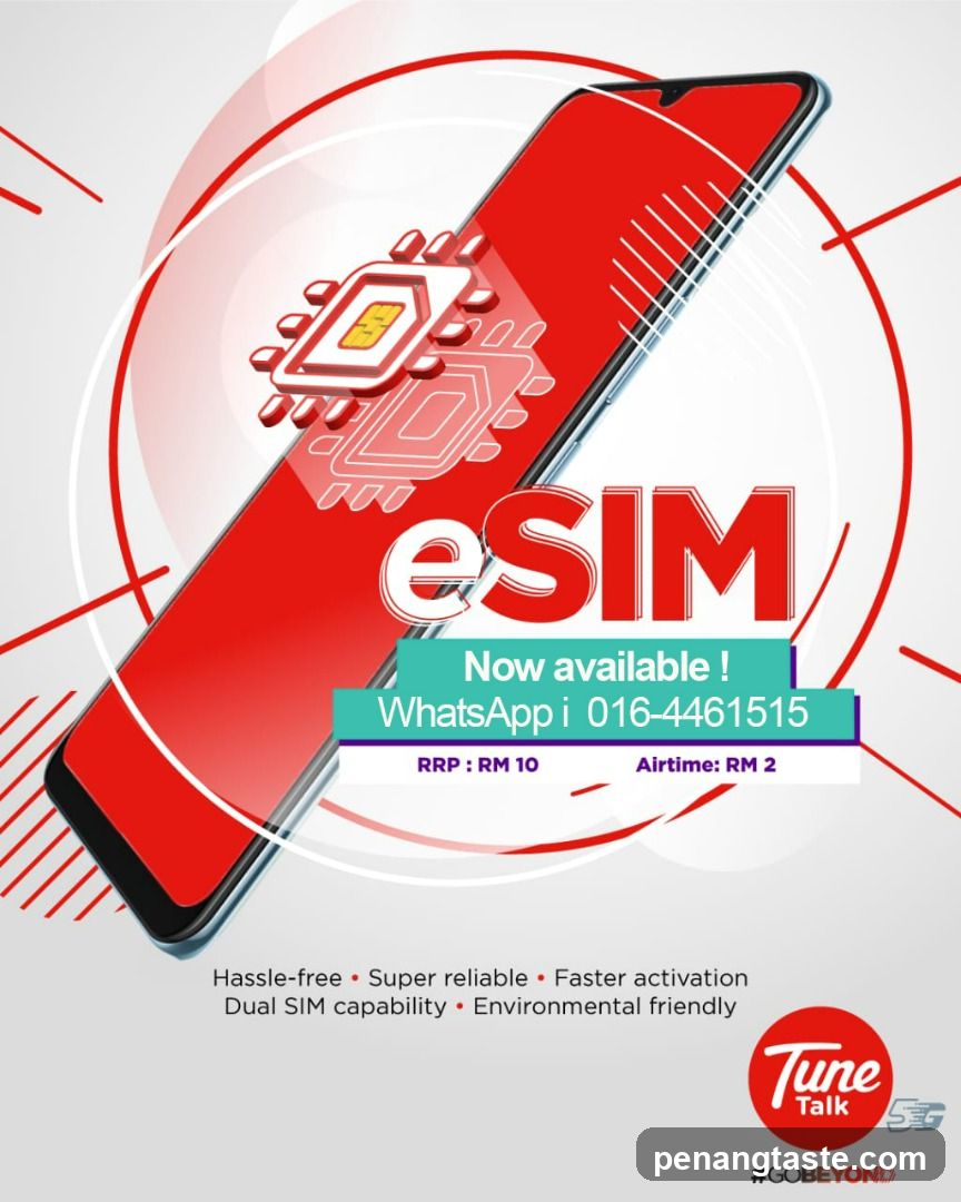 eSIM Advertisement Flyer
