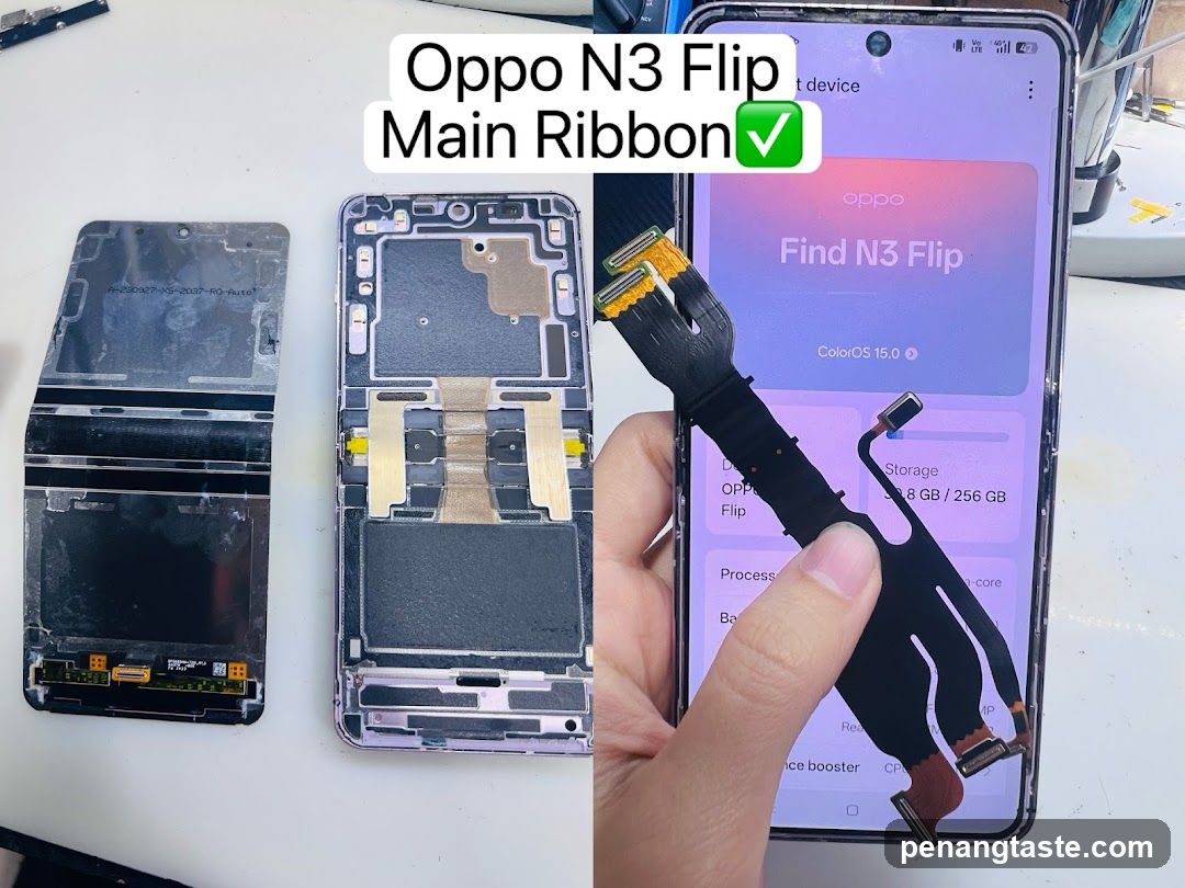 Oppo N3 Flip Main Ribbon