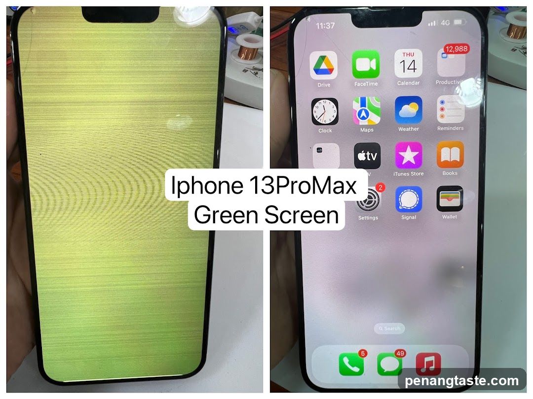 iPhone 13 Pro Max Green Screen Issue