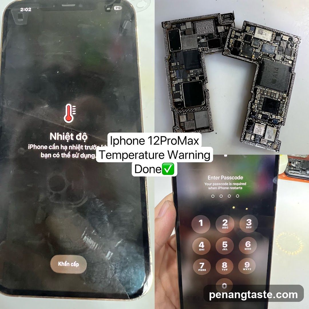 iPhone 12 Pro Max Temperature Warning and Repair Process