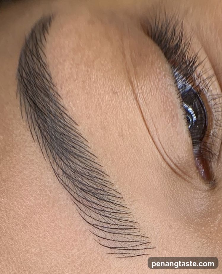 Eyebrow Detail