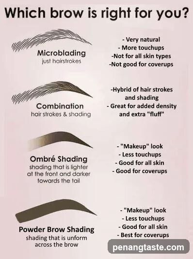 Which brow is right for you?