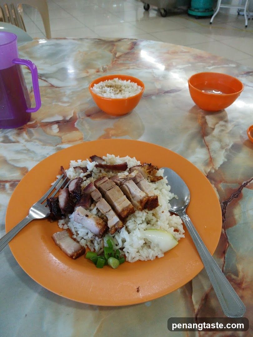 Roast Pork Rice Meal